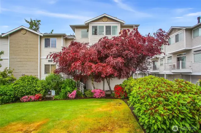 Welcome to 4133 156th St SW #7.