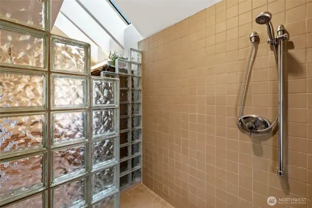 Primary Shower