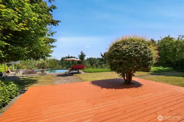 Deck in front yard with tree living in its spot in the deck