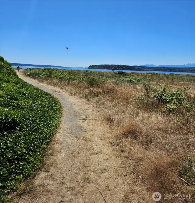 Path to beach