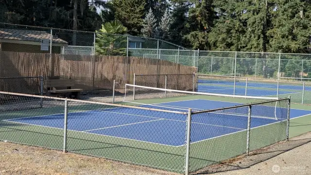 Pickleball and Tennis Courts