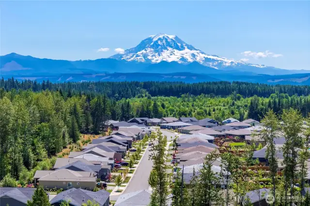 Mounta Rainier view right out side your front door.
