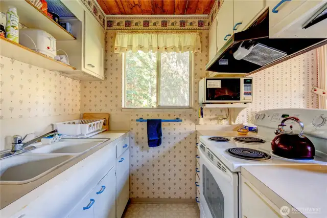 Kitchen main level