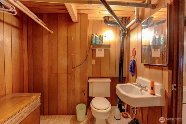 Bathroom on lower level off bedroom