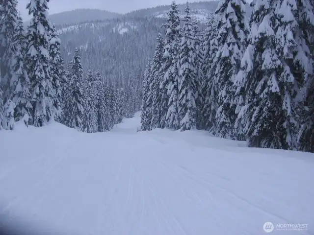 Epic sledding run across the street from cabin