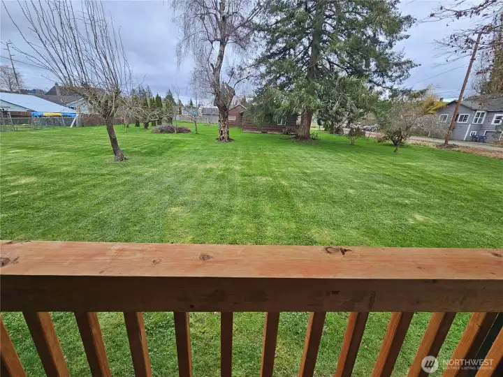 Side Yard View from your Porch