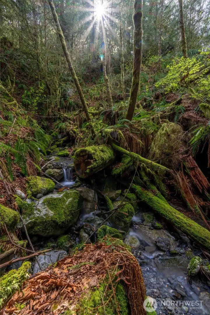 Waterfall on property.