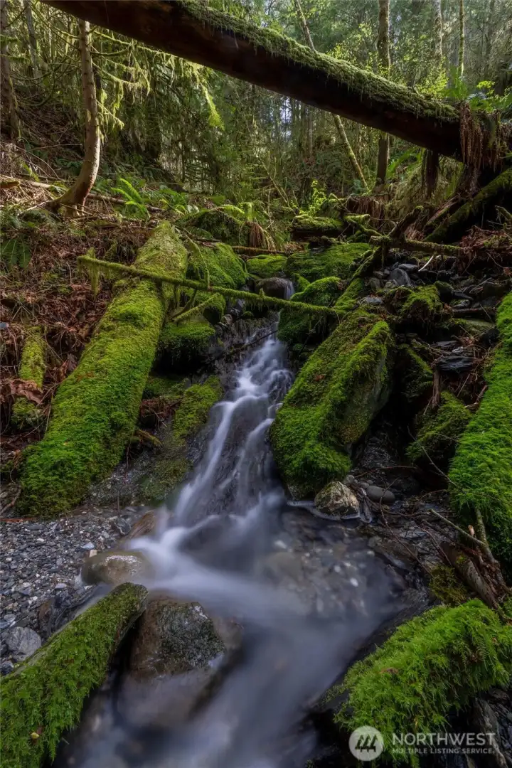 Amazing spot. So tranquil.