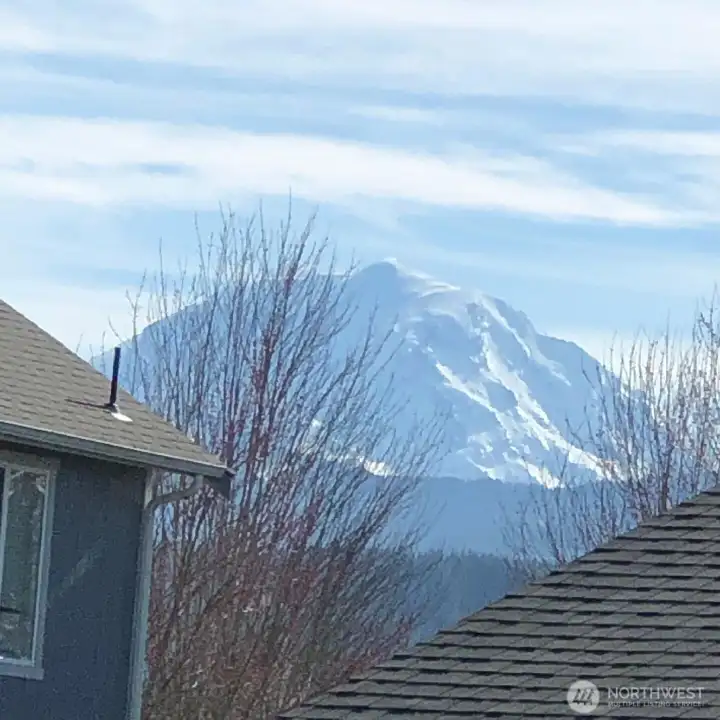 Mt. Rainier