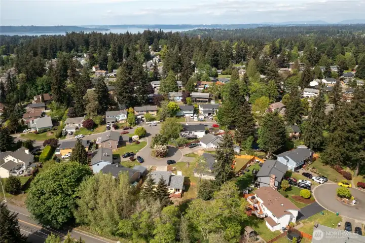 Aerial View see the Trees