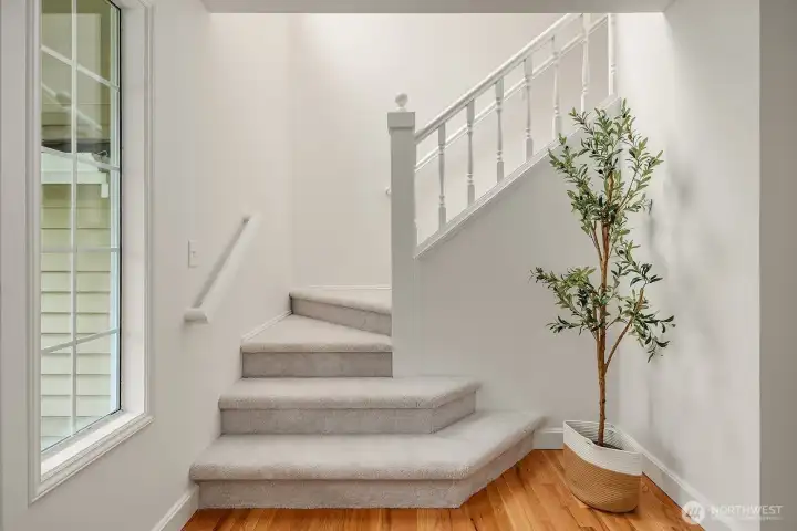 Bright and elegant staircase featuring fresh paint, classic white railings, and new carpet leading to the upper level bedrooms. Bright and elegant staircase featuring fresh paint, classic white railings, and new carpet leading to the upper level bedrooms.