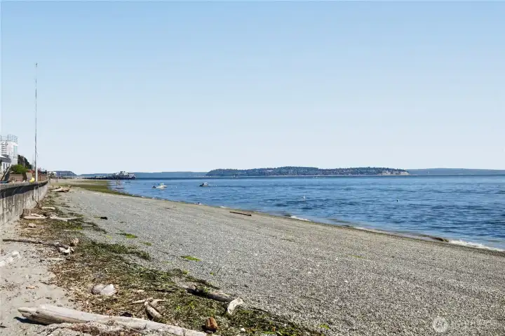 Lots of beach combing and ferry boat watching! Lots of beach combing and ferry boat watching!
