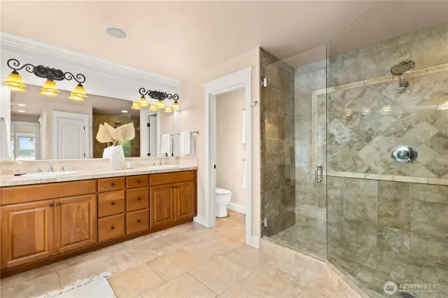 Primary bathroom with a spa shower and soaking tub.