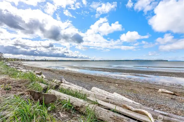 Cottonwood Beach