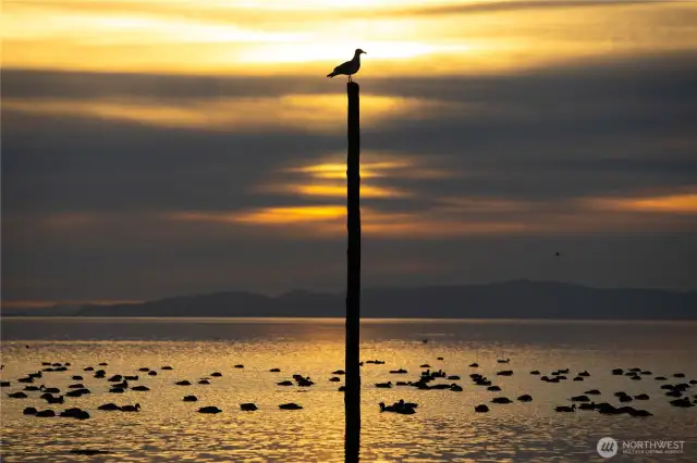 Evening Sunset