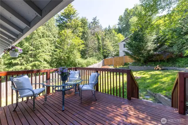 Newly Finished Deck in backyard
