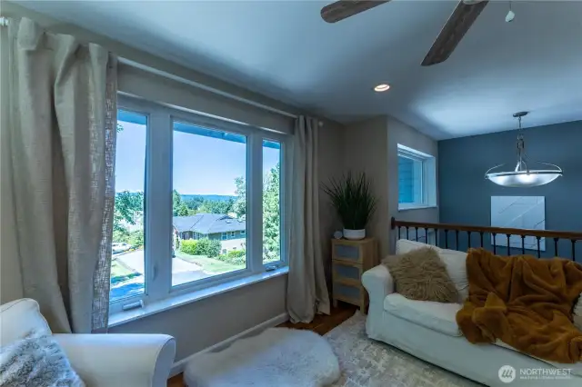 Views of the Olympic Mountains and incredible sunsets out these front windows!