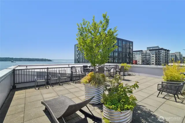 Site 17 is made up of two buildings, both with fantastic rooftop decks to enjoy!