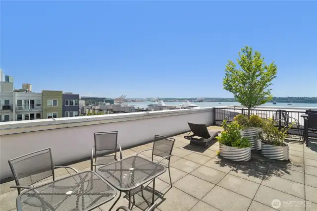 Take in stunning views of Elliott Bay, the downtown skyline, the Olympic Mountains and beyond right from your own home.