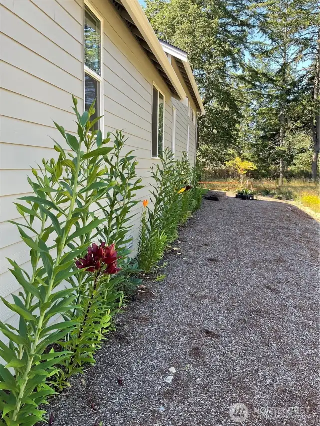 Side of Home With Flowers That Grow Well.