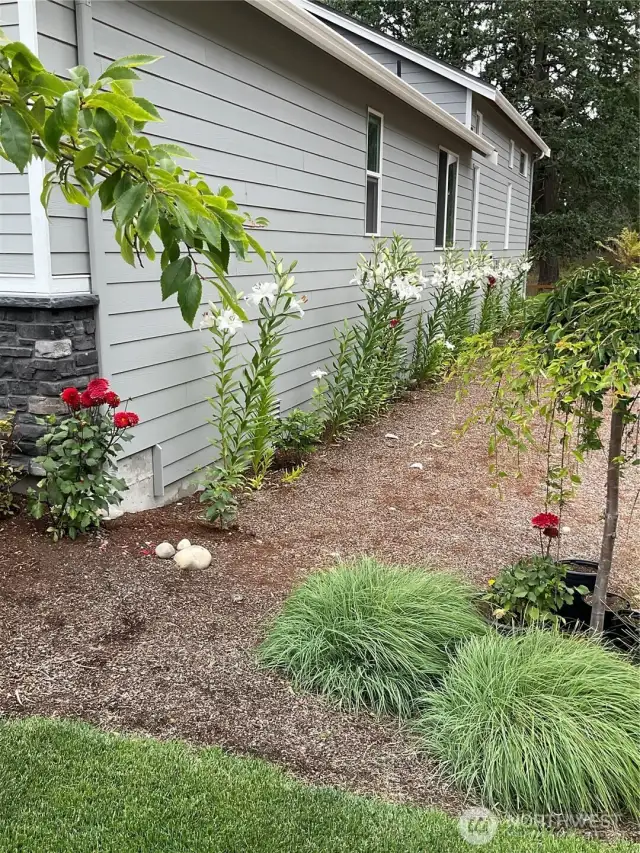 The Buds are Blooming!