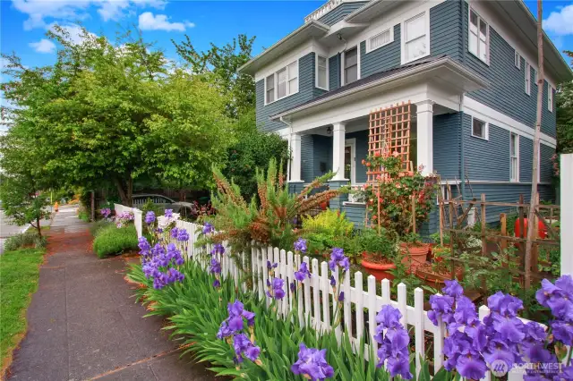 The colors in the garden change monthly. Spring 2025
