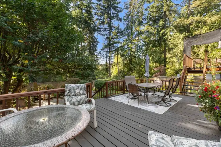 Large Deck Area surrounded by wooded nature.