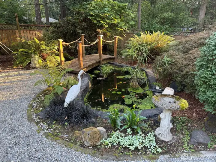 Koi Pond.