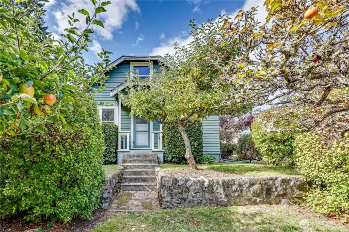Super cute cottage vibe with the best apple trees.