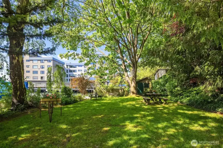 Lovely grassy lawn and picnic area. The woodshop is just beyond, best view woodshop in Seattle!