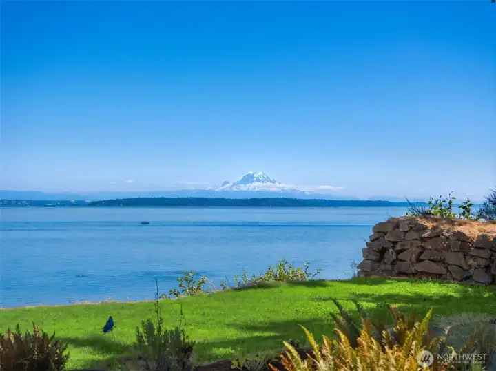 An ever-changing panorama - calm blue waters stretching toward the Cascades, with Mt. Rainier rising in the distance. A view that feels expansive, peaceful, and distinctly Pacific Northwest.
