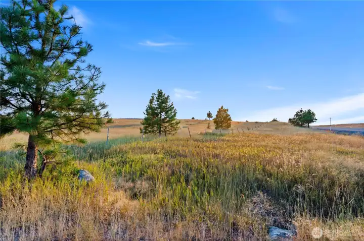 Vew looking East From HWY
