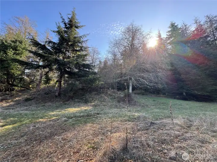 Level site was recently opened up by the seller.