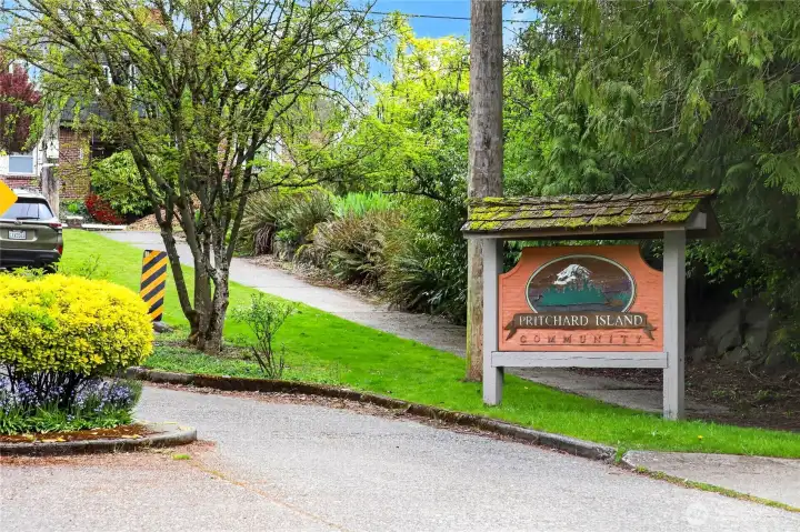 Welcome to Pritchard Island!