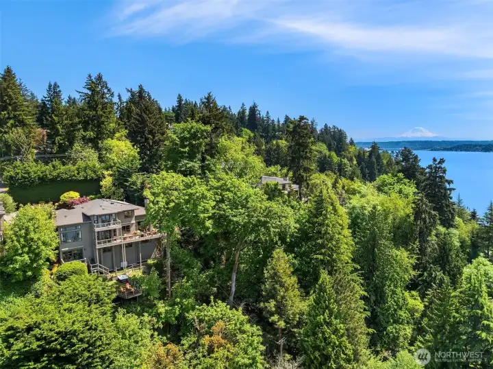 Perched above it all, wrapped in lush greenery with sweeping Lake Washington views—an elevated setting that feels private, peaceful, and worlds away.