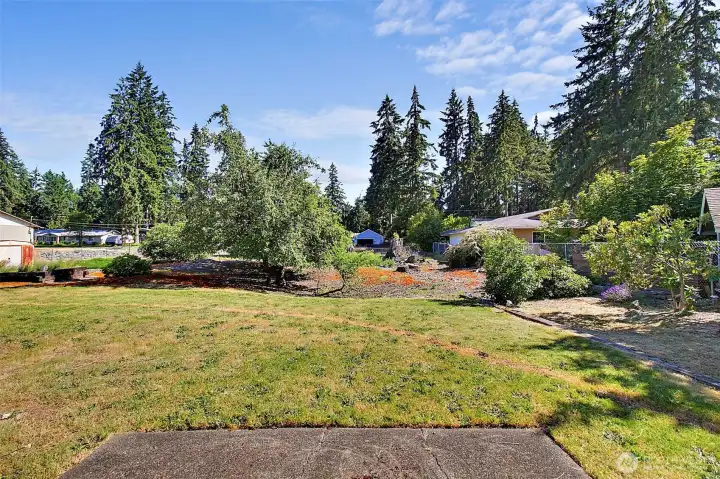 Patio overlooking the expansive backyard.