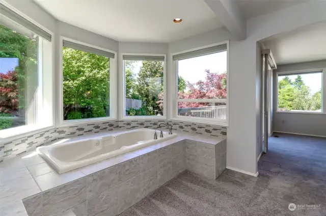 Enjoy this incredible soaking tub surrounded by the views of the colorful landscape.