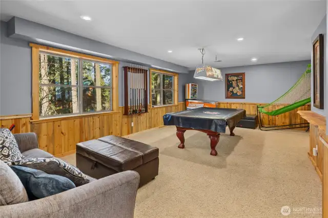 Lower level recreational room