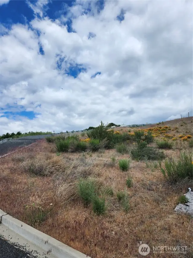 View of building site from south boundary, looking up hill.