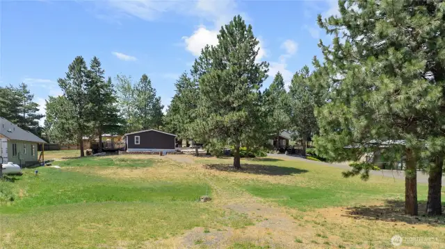.73 Acre lot with mature trees!