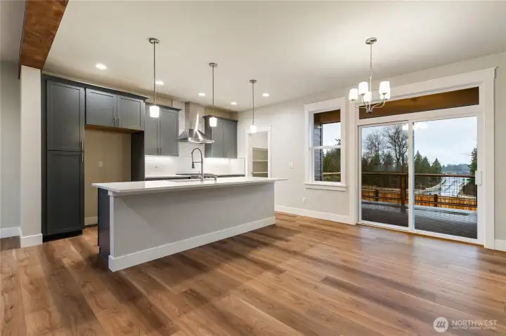 Modern Kitchen