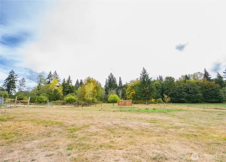 2.4 Acres with fruit trees