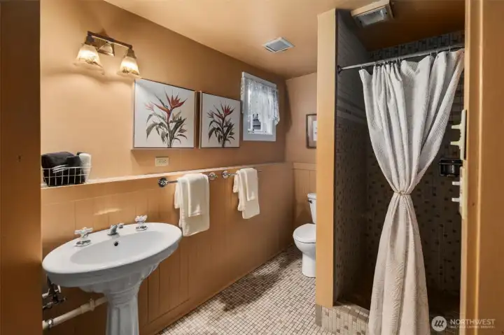 Fully finished basement bathroom with shower