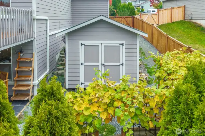 10x12 shed with loft and shelving.