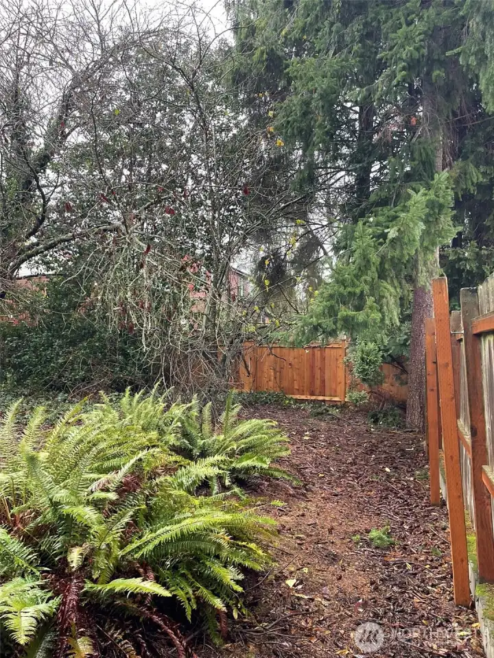 The property sits on a 4,650 square foot lot, with a large backyard.