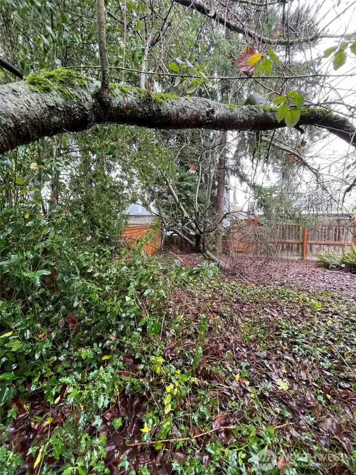 The property sits on a 4,650 square foot lot, with a large backyard.