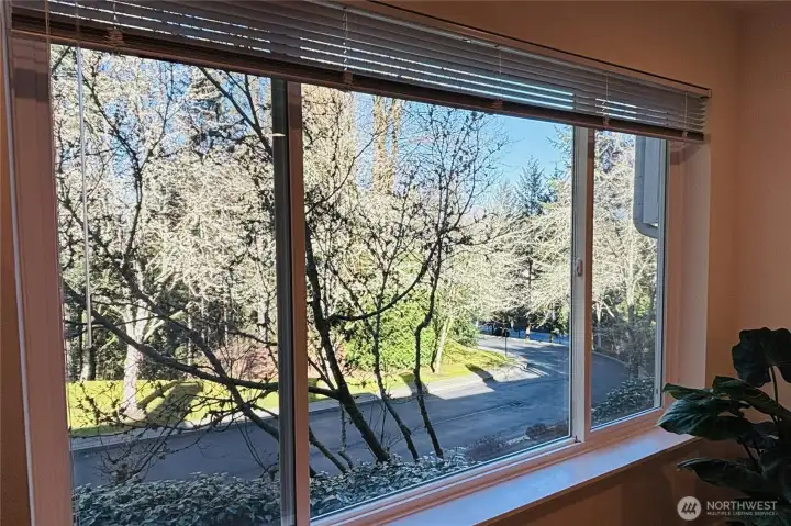 View of the Road inside of Community Between Buildings