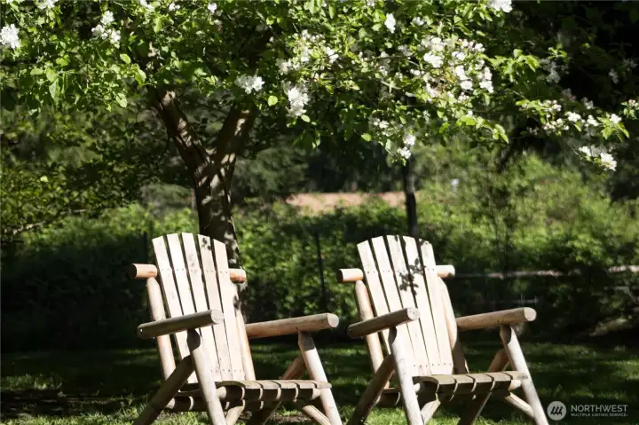 Apples will be coming soon!
