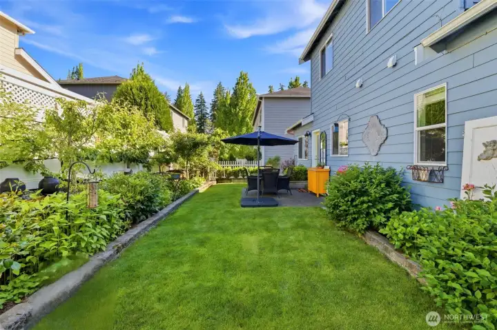 The dreamiest backyard with fruit trees.