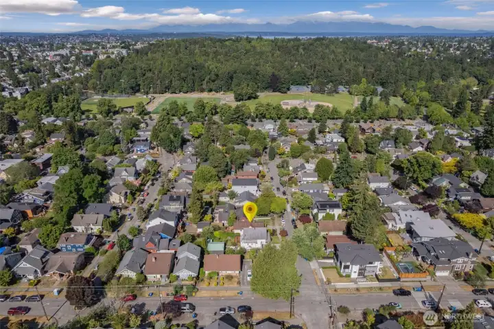 Near playfields, zoo, and lower woodland.